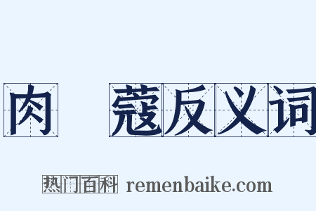 肉荳蔻反义词是什么意思的图片